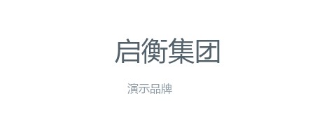 启衡集团（演示）